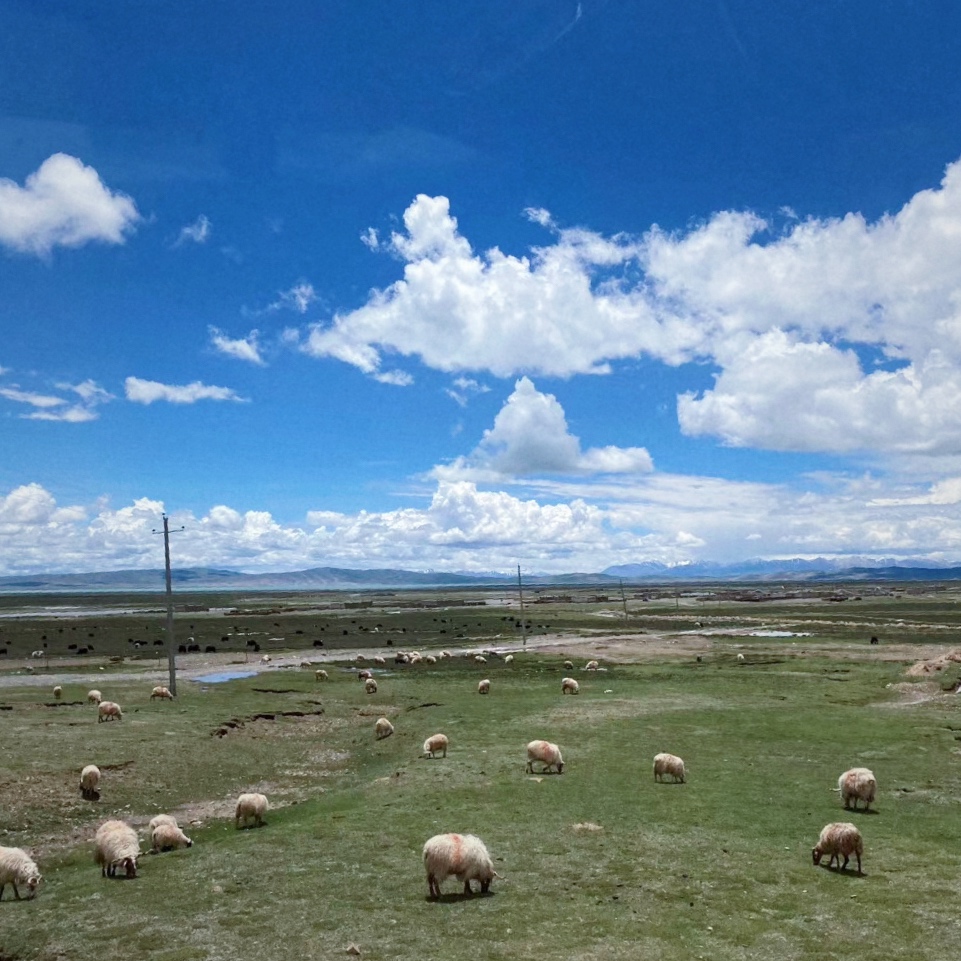 微信圖片_20200709091323.jpg 微信圖片_20200709091323.jpg