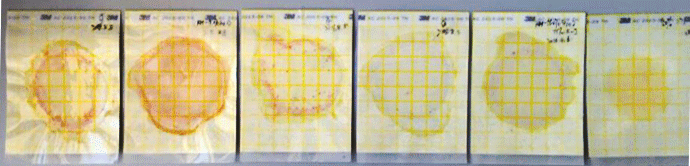 實(shí)驗(yàn)結(jié)果 實(shí)驗(yàn)結(jié)果